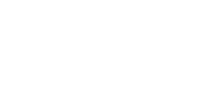 2022 CEO Survey